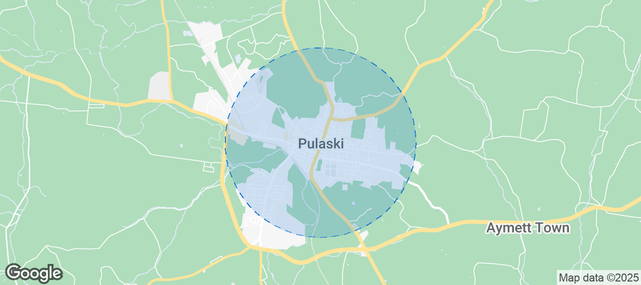 Discover Pulaski Airbnb Analytics